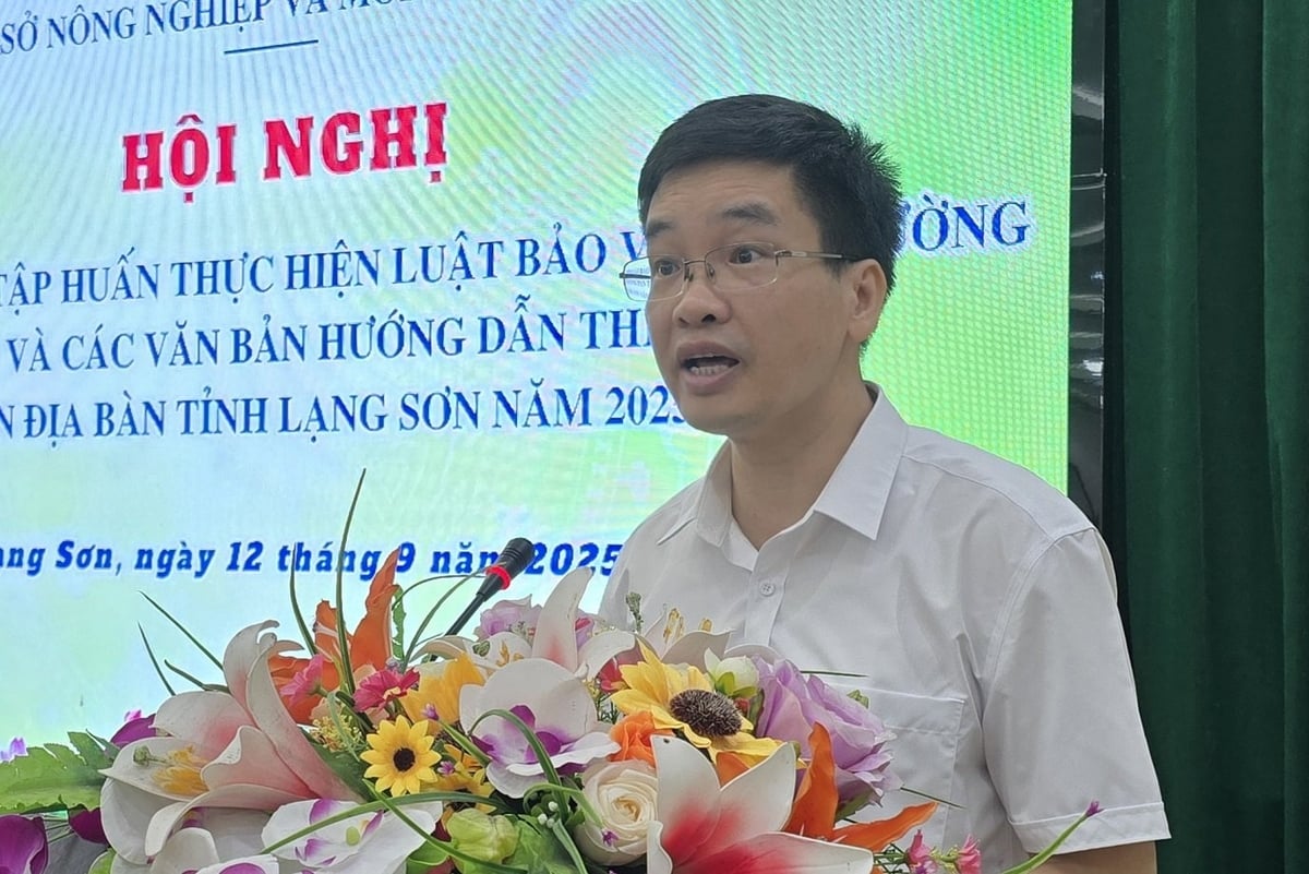Thúc đẩy thực thi Luật Bảo vệ môi trường